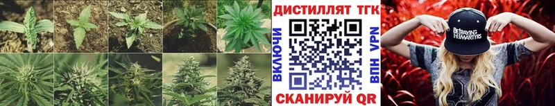 ТГК вейп с тгк  блэк спрут вход  Дегтярск  хочу наркоту 